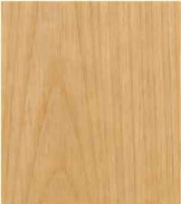 M-01 Pine wood veneer (knotty / natural) — swatch as printed on the drawing legend